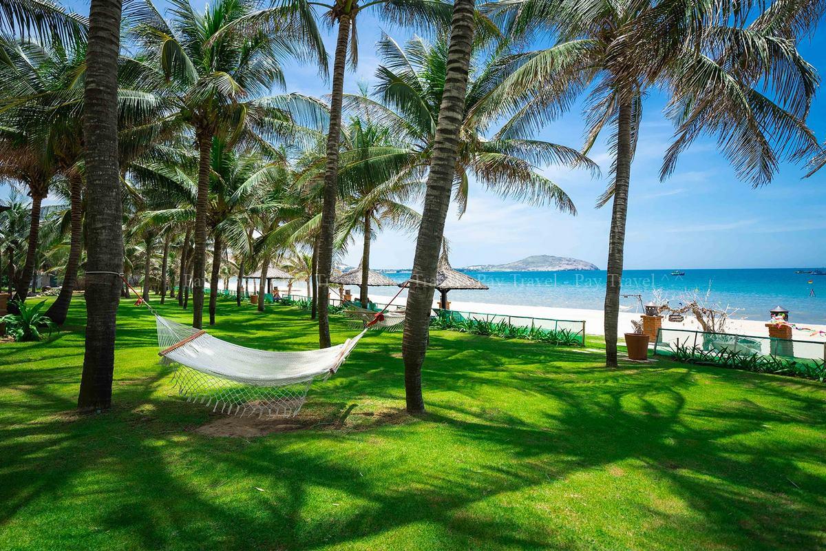 Pandanus 15