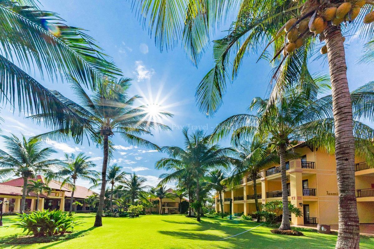 Pandanus 5